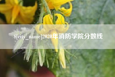 博尔塔拉蒙古2020年消防学院分数线
