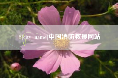 博尔塔拉蒙古中国消防救援网站