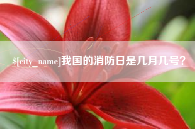 博尔塔拉蒙古我国的消防日是几月几号？