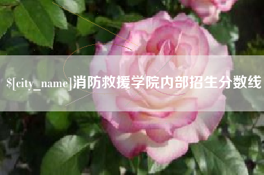博尔塔拉蒙古消防救援学院内部招生分数线