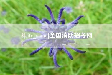 博尔塔拉蒙古全国消防招考网