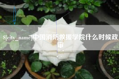 博尔塔拉蒙古中国消防救援学院什么时候政审