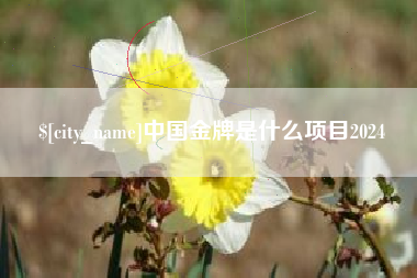 博尔塔拉蒙古中国金牌是什么项目2024