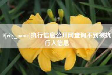 博尔塔拉蒙古执行信息公开网查询不到被执行人信息