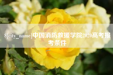博尔塔拉蒙古中国消防救援学院2020高考报考条件