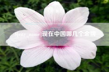 博尔塔拉蒙古现在中国哪几个金牌