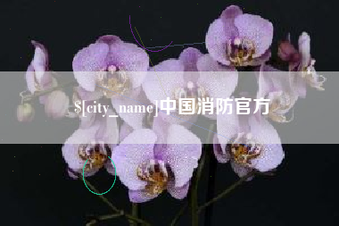 博尔塔拉蒙古中国消防官方