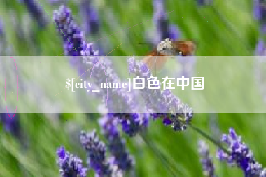 博尔塔拉蒙古白色在中国