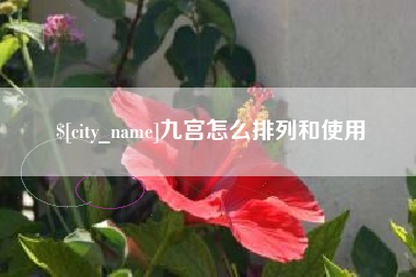 博尔塔拉蒙古九宫怎么排列和使用
