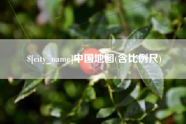 博尔塔拉蒙古中国地图(含比例尺)