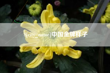 博尔塔拉蒙古中国金牌样子