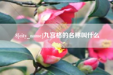 博尔塔拉蒙古九宫格的名称叫什么