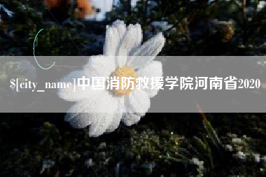 博尔塔拉蒙古中国消防救援学院河南省2020